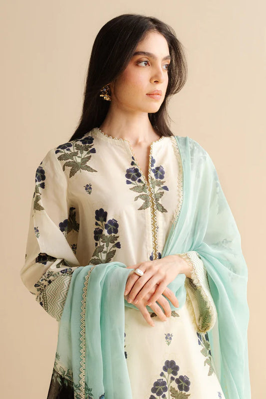 Coco By Zara Shahjahan Raya-2B